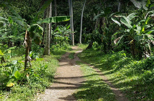 Cascada Lulu El Valle Samana 2